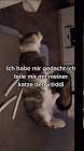 Profile Picture of   Hat er wohl nicht so gut... (@_amy.pdm) on Tiktok