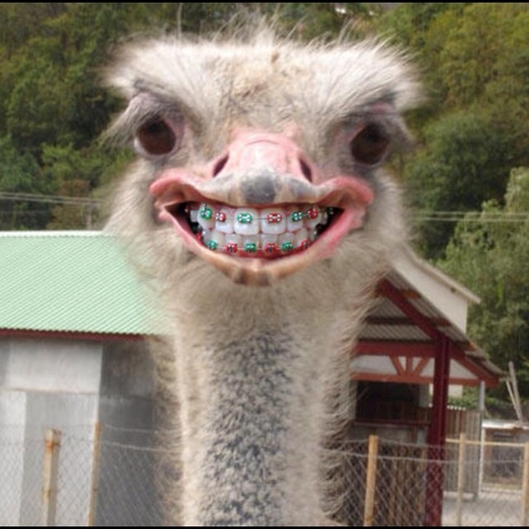 Profile Picture of Jennifer Cornwell (@jennahhhh888) on Poshmark