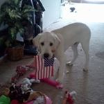 Brian Inch - Instagram Profile Picture of Brian Inch (@bdi209) on Instagram