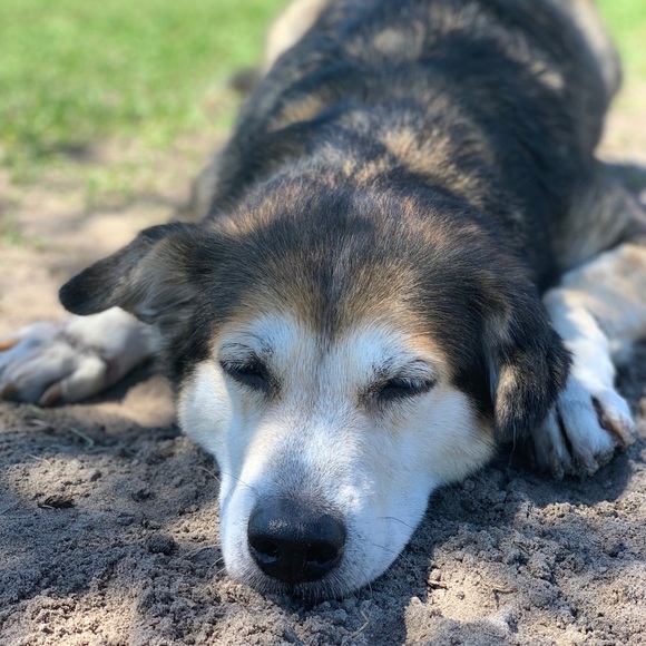 Profile Picture of Ryan Hickey (@rhickey36) on Poshmark