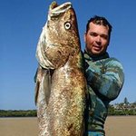 Profile Picture of Matthew Poulton (@poulton) on Instagram