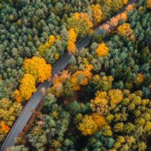 Profile Picture of Richard Moriarty (@richardmoria855) on Poshmark