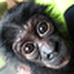 Profile Picture of Donna Craig (@djcraig1) on Flickr