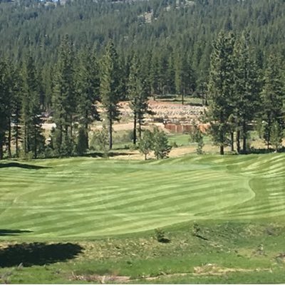 Profile Picture of Mark Stutsman (@mark_stutsman) on Twitter