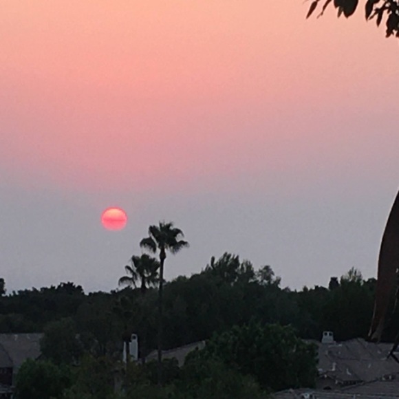 Profile Picture of Jun Li (@luckylife12) on Poshmark