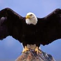 Profile Picture of John Quaye (@john-quaye-13) on Quora
