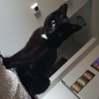 Profile Picture of Robert Fuszner (@robert-fuszner-1) on Quora