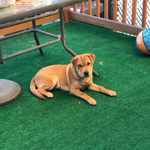 Profile Picture of James Rizzo (@jrizzo1109) on Poshmark