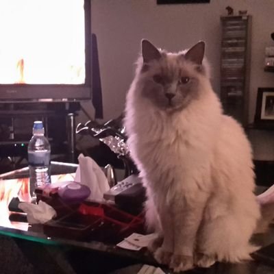 Profile Picture of Graham Hepburn (@GrahamHepburn5) on Twitter