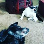 Profile Picture of ~Candi.Quinn~ (@dra.candy.quinn) on Instagram