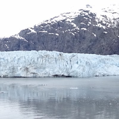 Profile Picture of Tom Kleinschmidt (@tomlleinschmidt) on Twitter