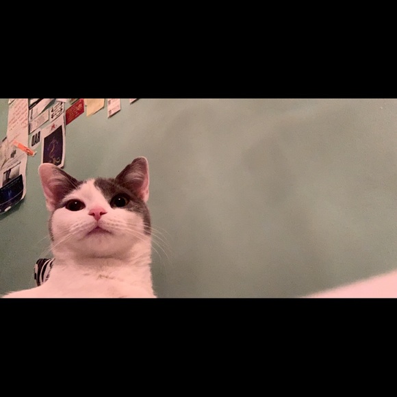 Shaunna Stanley - Poshmark Profile Picture of Shaunna Stanley (@05sstanley) on Poshmark