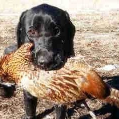 Profile Picture of Connor Bradshaw (@240143210) on Myspace