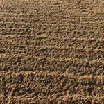 Profile Picture of James Hinrichs (@james.hinrichs.351) on Instagram