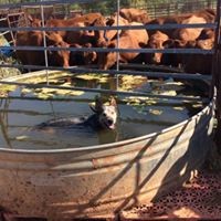 Profile Picture of Levi Thompson (@levi-thompson-15) on Quora