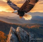 Profile Picture of Jonathan Set (@Jonathan-Set) on Facebook