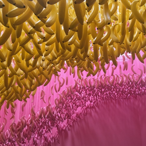 Profile Picture of Kaitlan Crussell (@kait777) on Poshmark