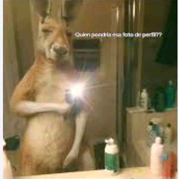 Profile Picture of Tony bianca (@tony.bianca0) on Tiktok