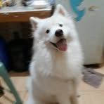 Profile Picture of Bubu Kiro (@Bubu-Kiro) on Facebook