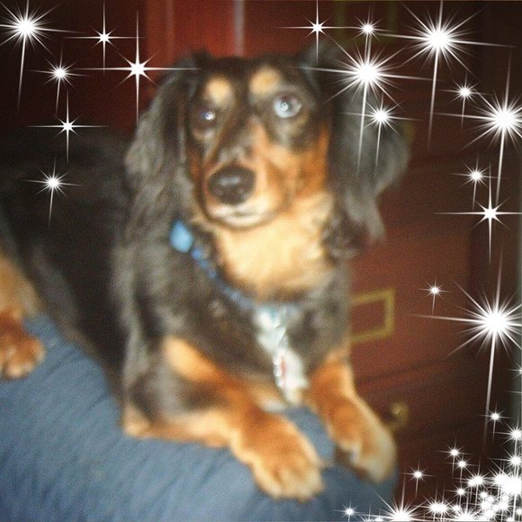 Profile Picture of Robert Breen (@rgbinv) on Poshmark