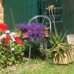 Profile Picture of Victor Tejeda (@victor_tejeda) on Instagram