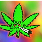 Profile Picture of Gary Telfer (@garytelfer) on Instagram