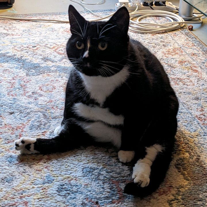 Profile Picture of adam_gruber (@adam_gruber) on Tiktok