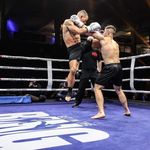 Profile Picture of Tim Hoffmann (@timk1hoffmann) on Instagram