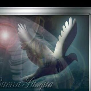 Profile Picture of Lino Conte (@Lino-Conte) on Facebook