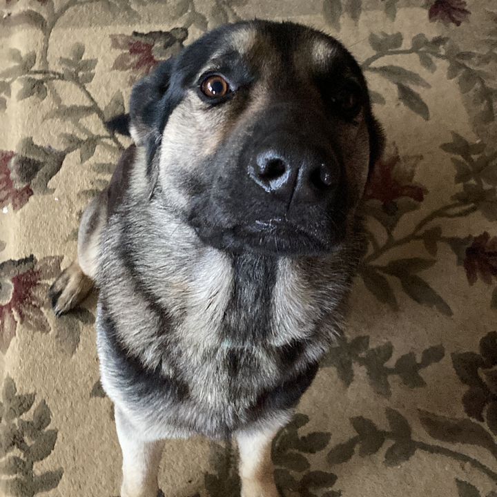 Profile Picture of Mike Puckett (@mikepuckett1967) on Tiktok