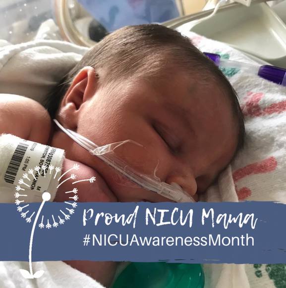 Profile Picture of Shannon Ayscue (@shannonayscue) on Poshmark