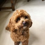 Profile Picture of Gillian Judge (@Gillian-Judge) on Facebook