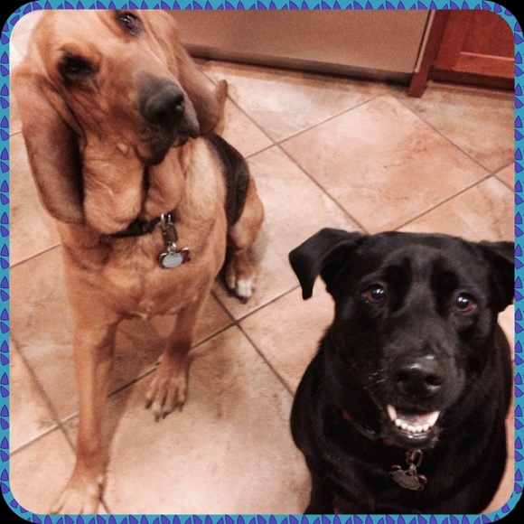 Profile Picture of Elizabeth Coolman (@ecoolman25) on Poshmark