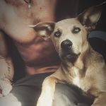 Profile Picture of Cheyne (@cheyne333) on Instagram