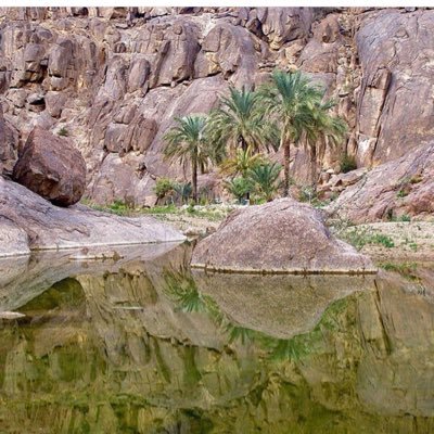 Profile Picture of Ahmad Nassr (@fcfc23232) on Twitter