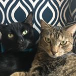 Profile Picture of Joseph & Walter (@jacoseph) on Instagram