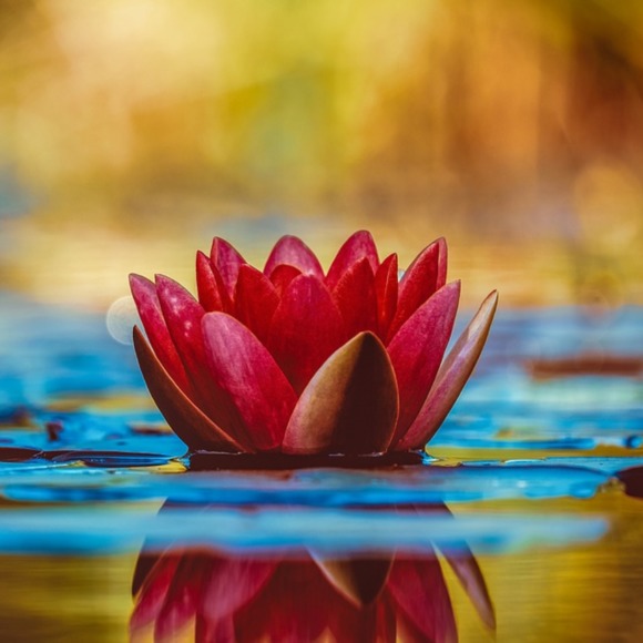 Profile Picture of Leia Walker (@leiaw20) on Poshmark