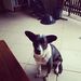 Profile Picture of Joel Ferrando (@joelferrando11) on Pinterest