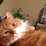 Profile Picture of Krista Montalvo (@edgarsgirl) on Instagram