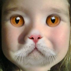 Profile Picture of Kim Jeffreys Reveley (@kimjeffreysrevele) on Tiktok