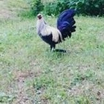 Profile Picture of Travis Alsup (@travisalsup) on Instagram