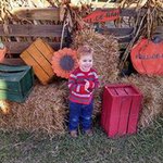 Profile Picture of Kim Williams-Cushman (@kim.williamscushman) on Instagram