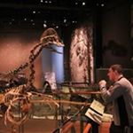 Profile Picture of Shawn Storey (@restofthestorey) on Instagram