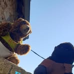 Profile Picture of GingeretKoomba Slip (@GingeretKoomba-Slip) on Facebook