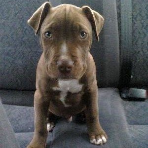 Profile Picture of Dan Walraven (@241716673) on Myspace