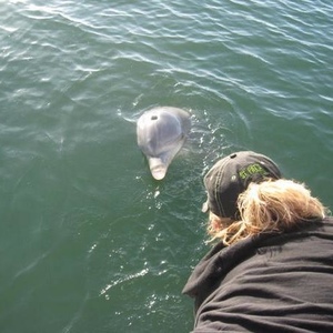 Profile Picture of Becky Calhoun (@moonwriter) on Myspace