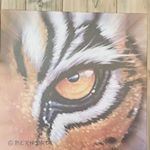 Profile Picture of Joey Trahan (@lsutigersouth) on Instagram