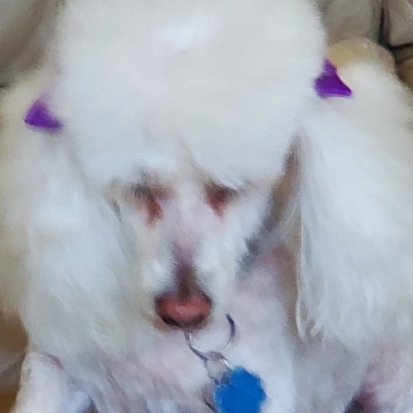 Profile Picture of Margo Thompson (@margothomps) on Poshmark