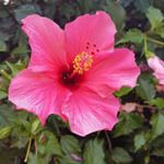 Profile Picture of jan Fitzpatrick (@fitzpatrick.jan) on Instagram