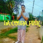 Profile Picture of LA Cobra Pink (@lacobrapink) on Instagram